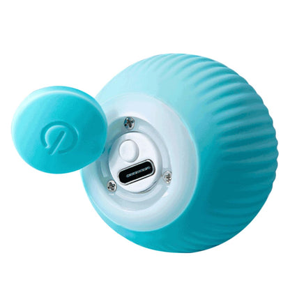 Juguete Interactivo Para Mascotas