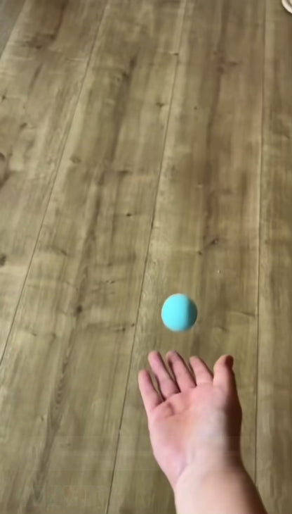 Juguete Interactivo Para Mascotas